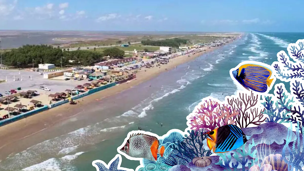 Frente a playa Bagdad serán los hundimientos Gobierno del Estado y Canva